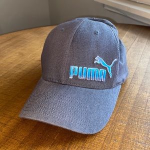 Charcoal Flexfit Puma Hat with Blue Gradient Logo S/M